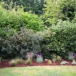 Διαμέρισμα L'eden Chic - Balneo - Jardin - Parking Gratuit Arras