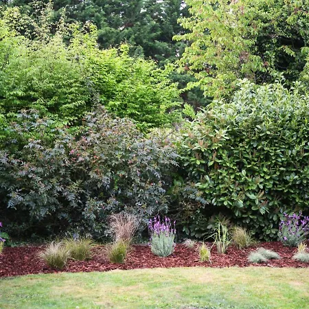 Appartement L'eden Chic - Balneo - Jardin - Parking Gratuit Arras