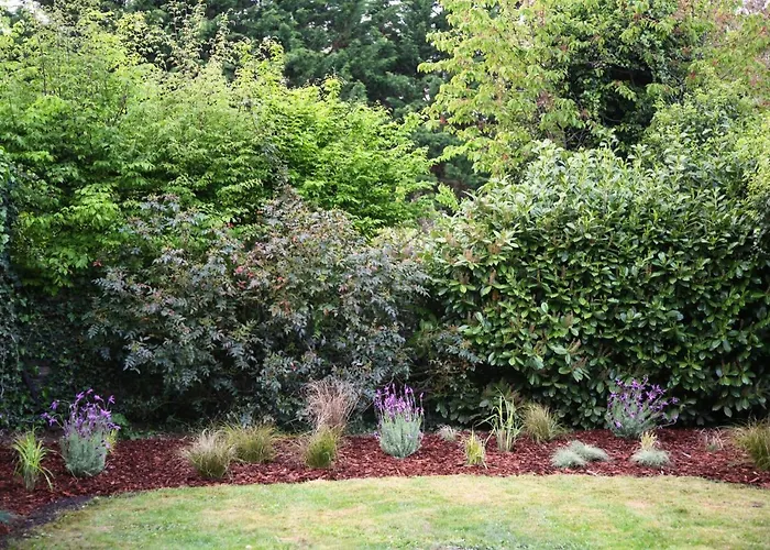 Appartamento L'eden Chic - Balneo - Jardin - Parking Gratuit Arras